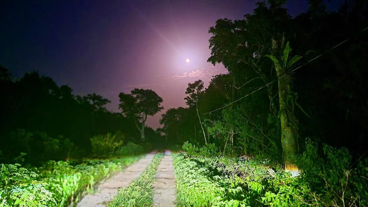Energy Tulum Holistic Ranch Ξενοδοχείο