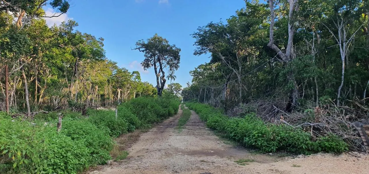 מלון Energy Tulum Holistic Ranch 0*,